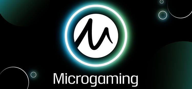 Provider Slot Microgaming