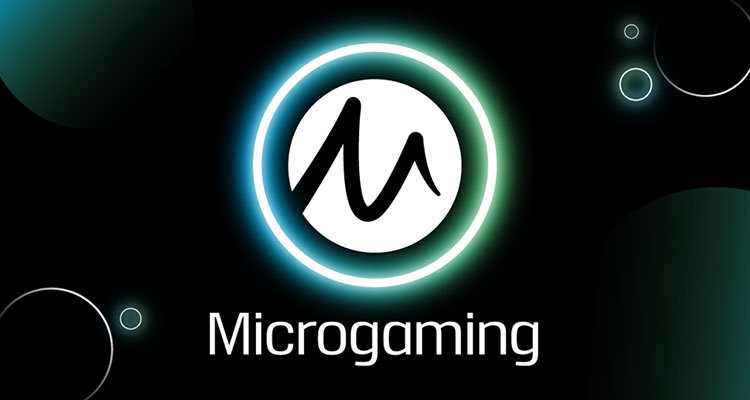 Provider Slot Microgaming 